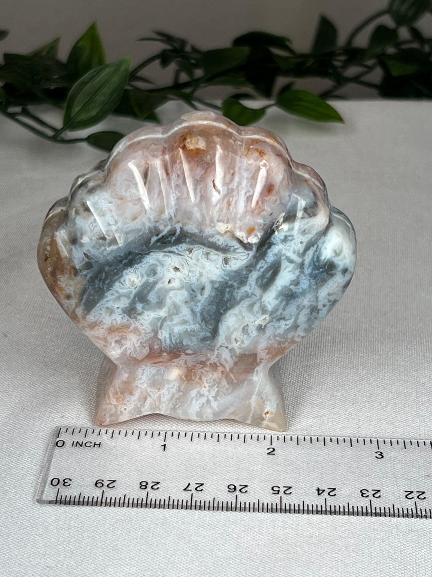 Rainbow Plume Agate Shell