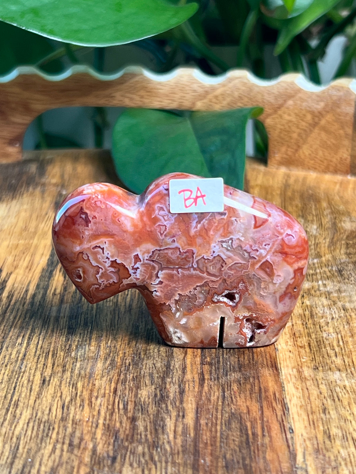 Carnelian Mini Buffalos