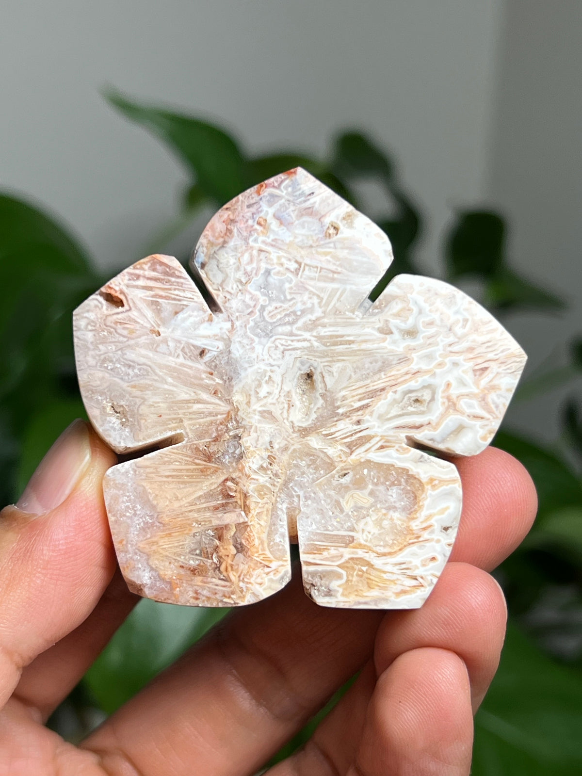 Tube Agate Mini Flowers