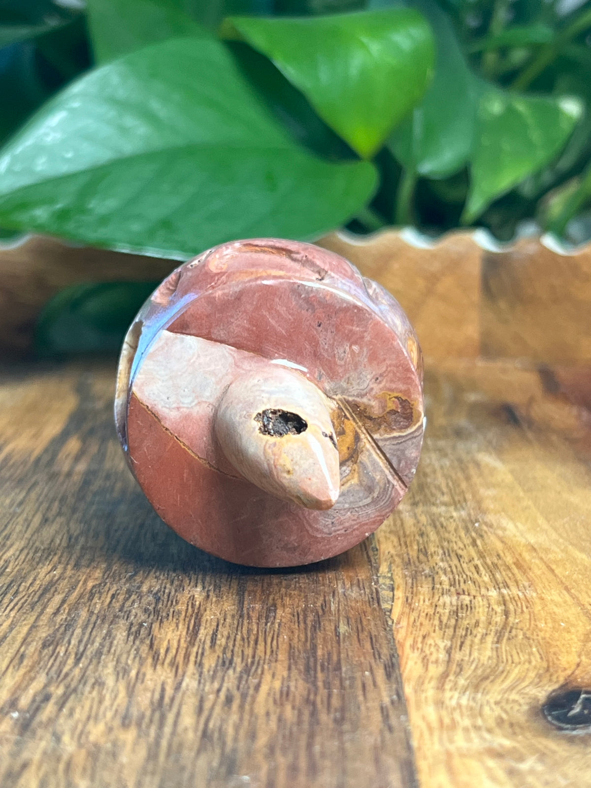 Pink Polycrome Pumpkin: F