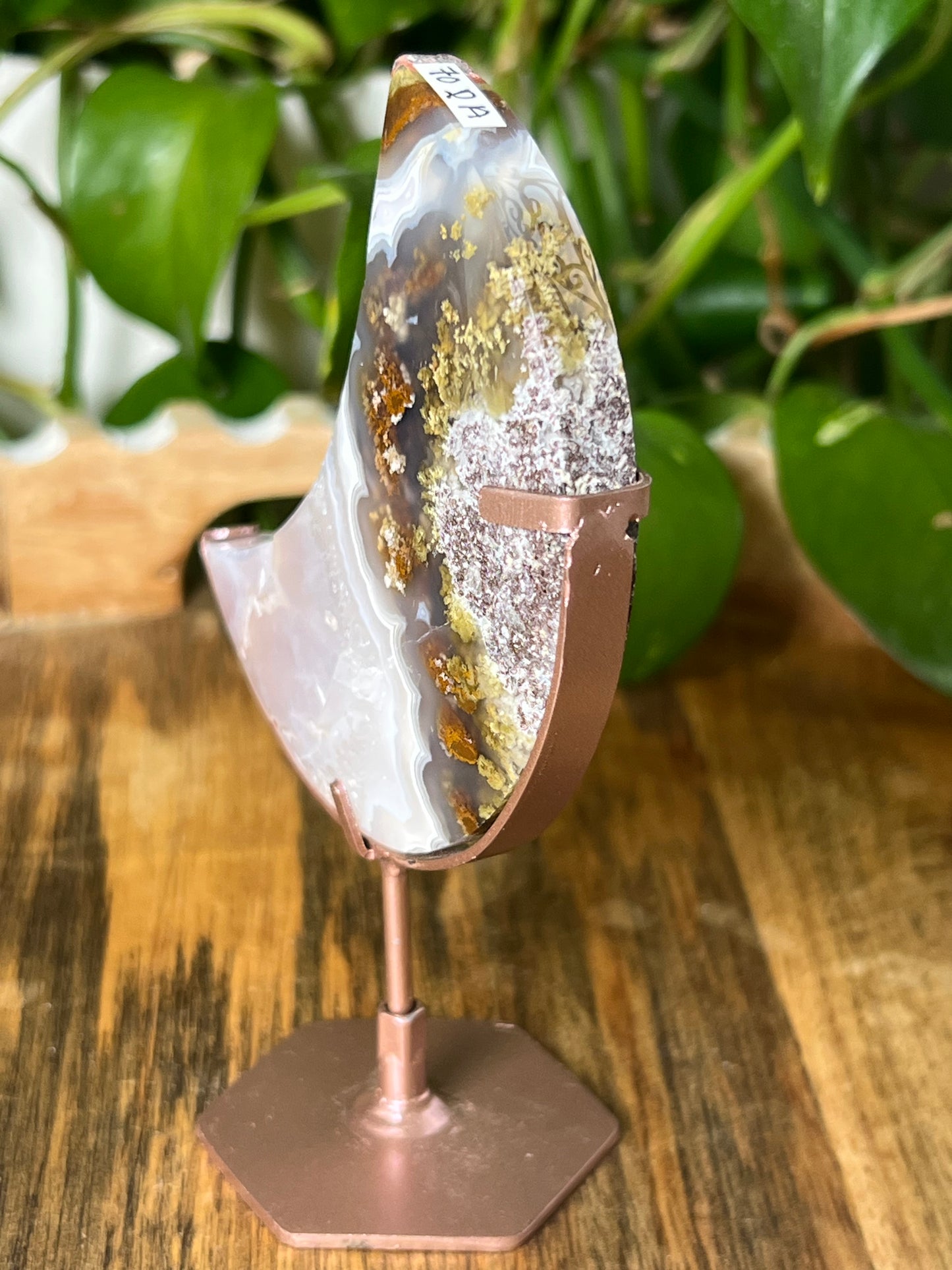 Scenic Moss Agate Moon