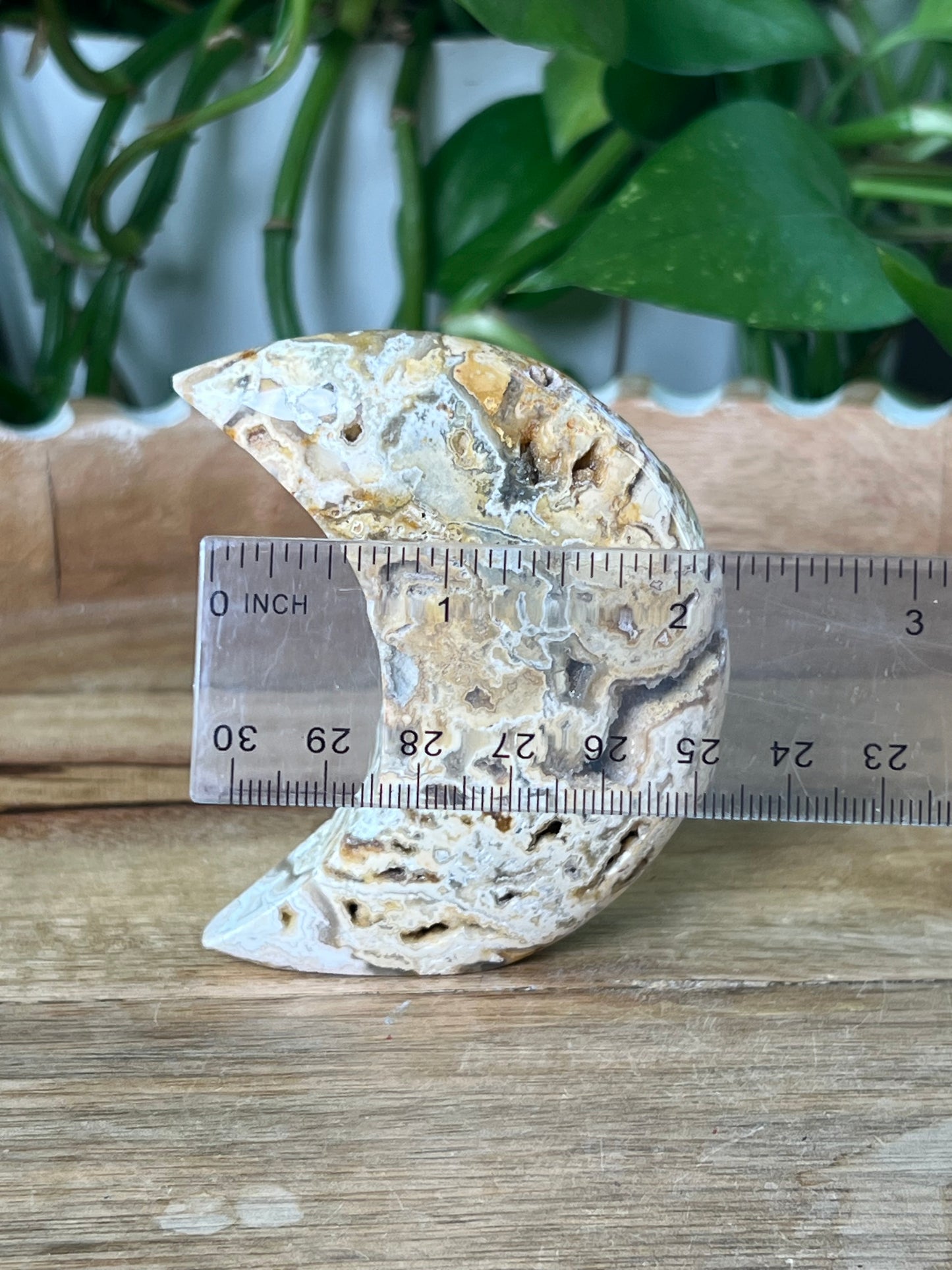 Crazy Lace Agate Moon