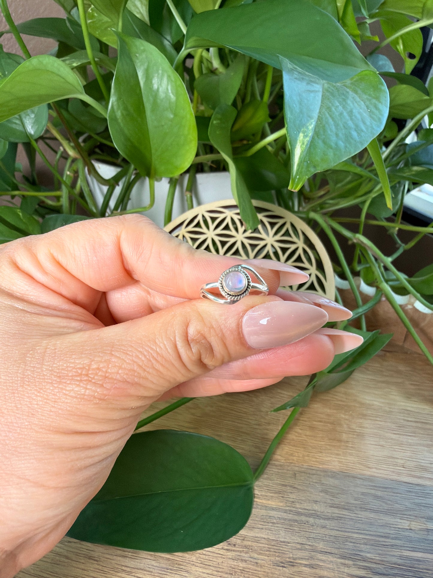 Moonstone Circle Ring