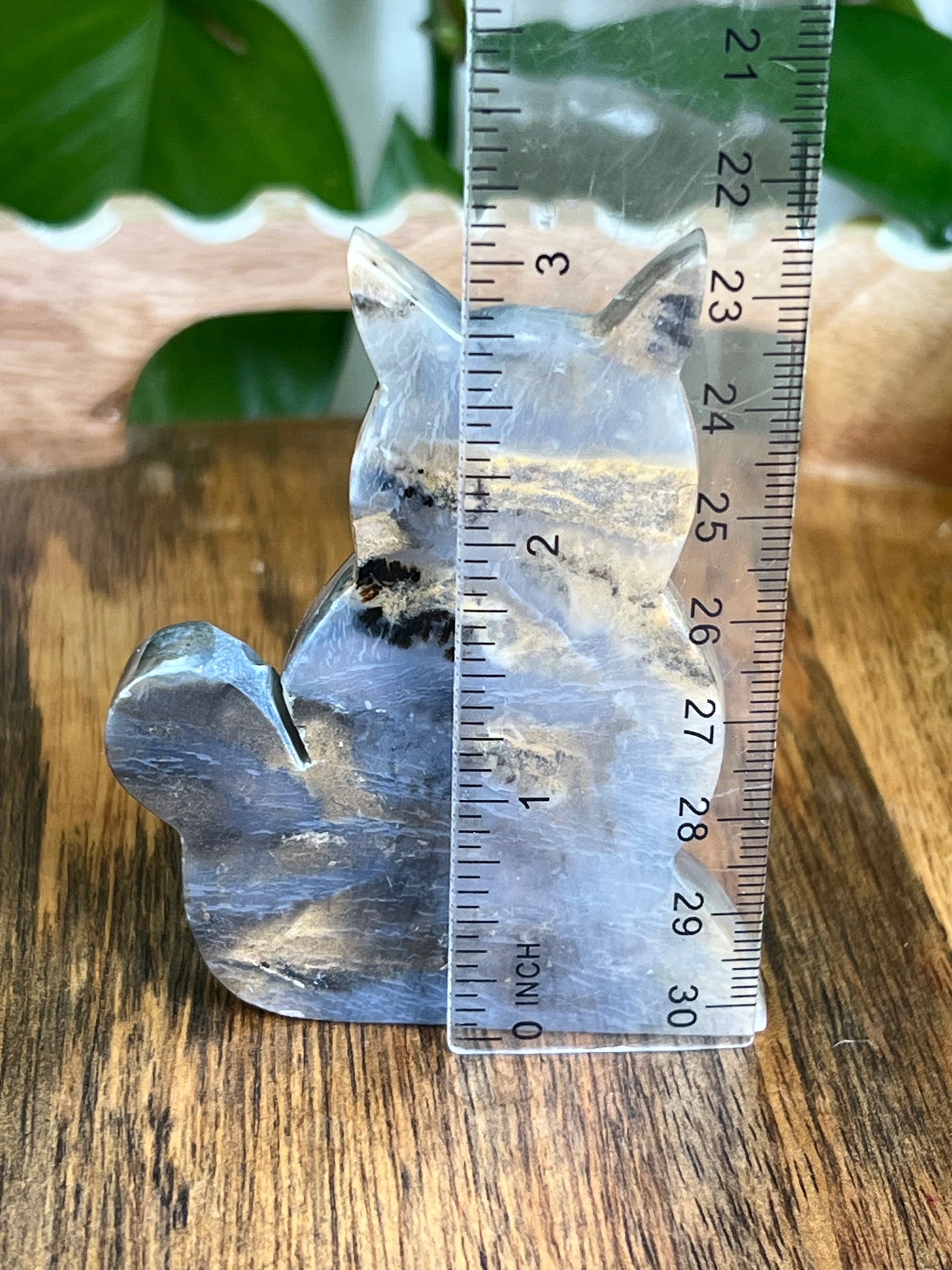 Dendritic Tiger Agate Cat AD
