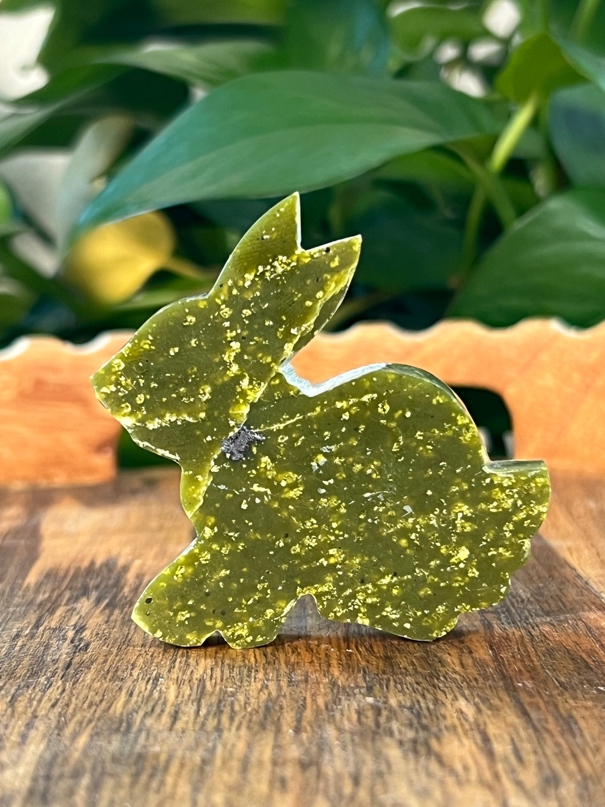Idocrase Bunny: PA