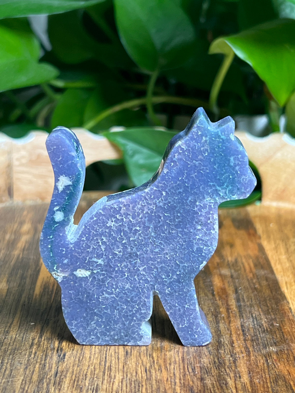 Grape Agate Cat: E