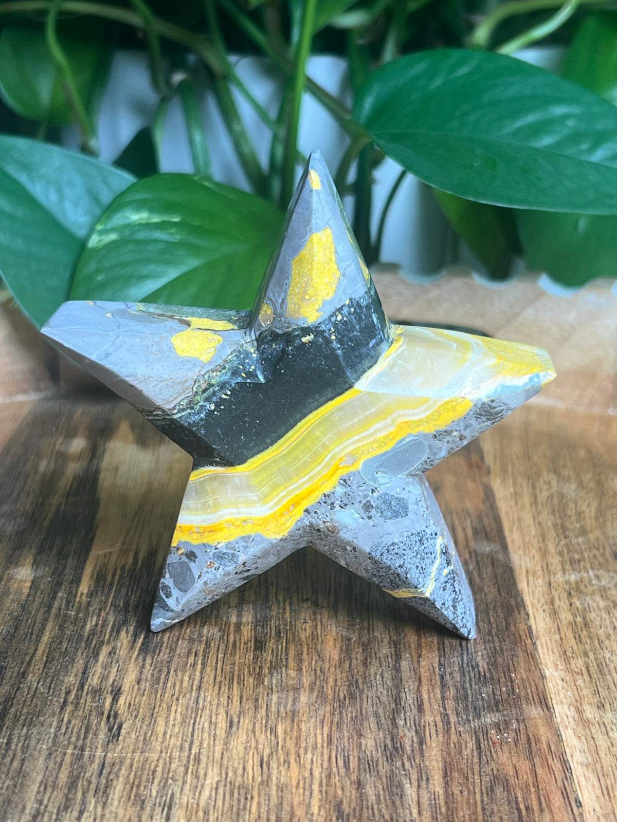 Bumblebee Jasper Star: E