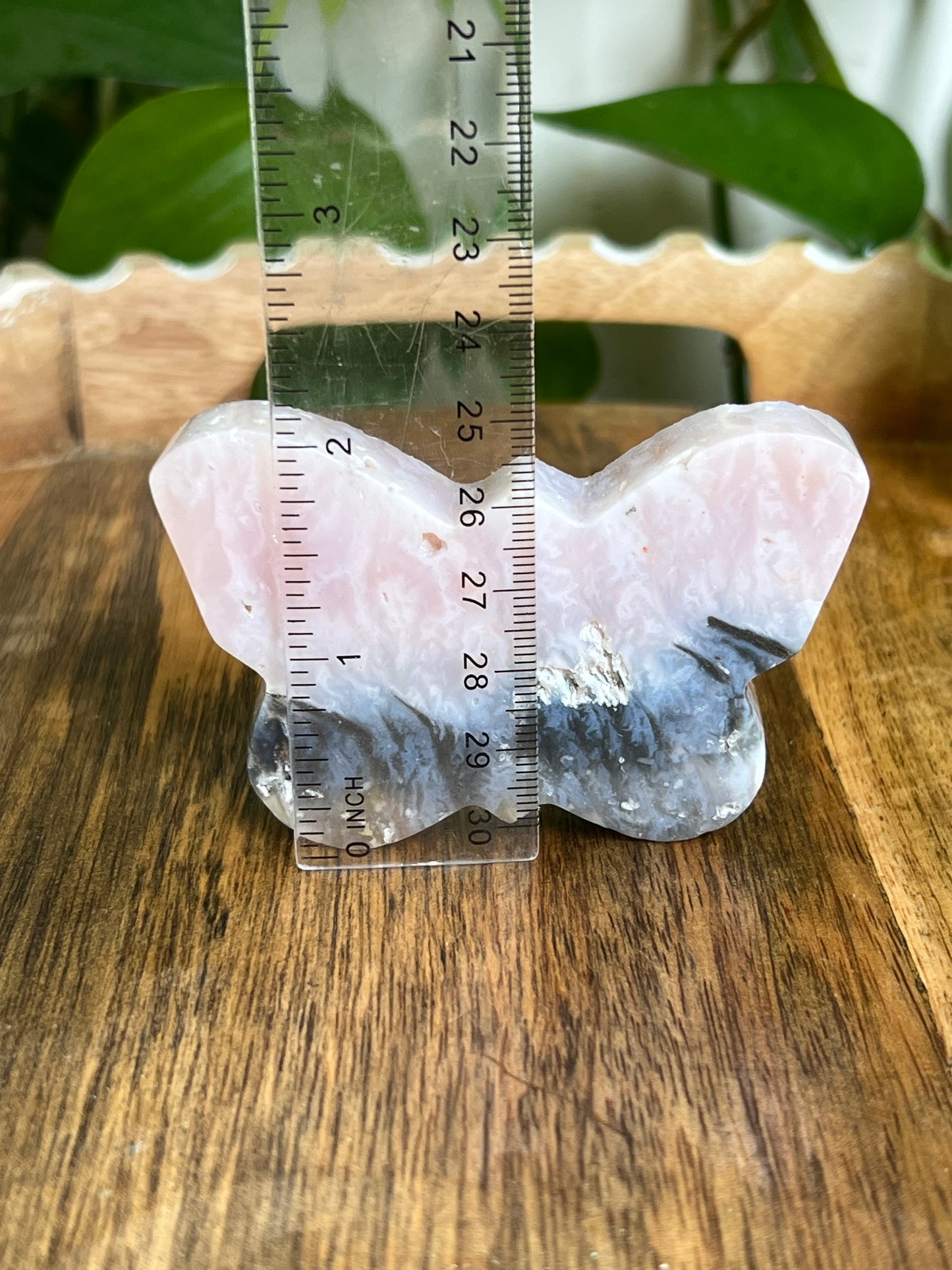 Rainbow Plume Agate Butterfly RK