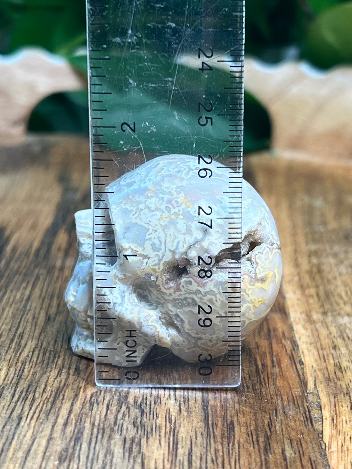 Sumatra Plume Agate Mini Plume: F