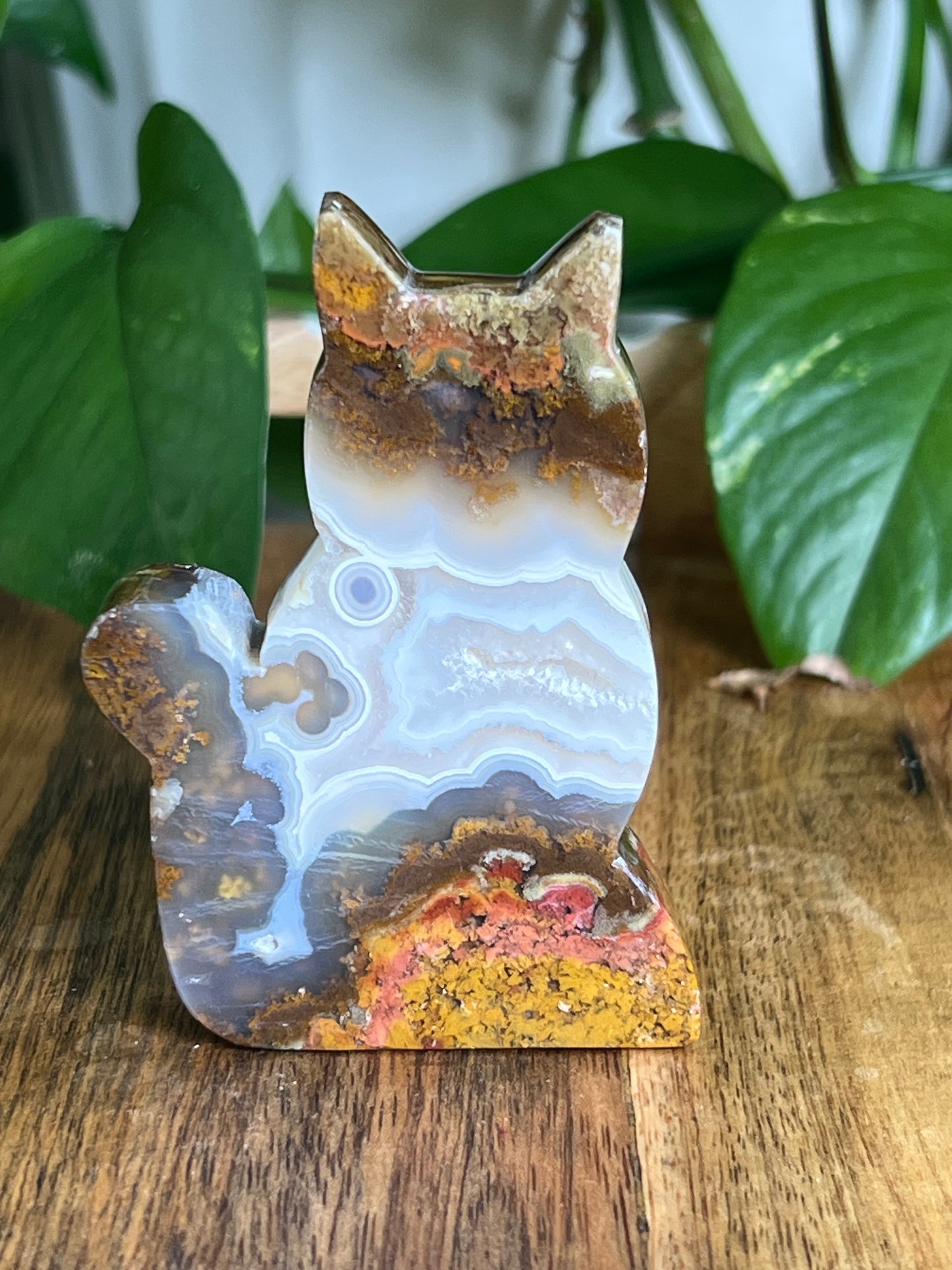 Scenic Moss Agate Cat HY