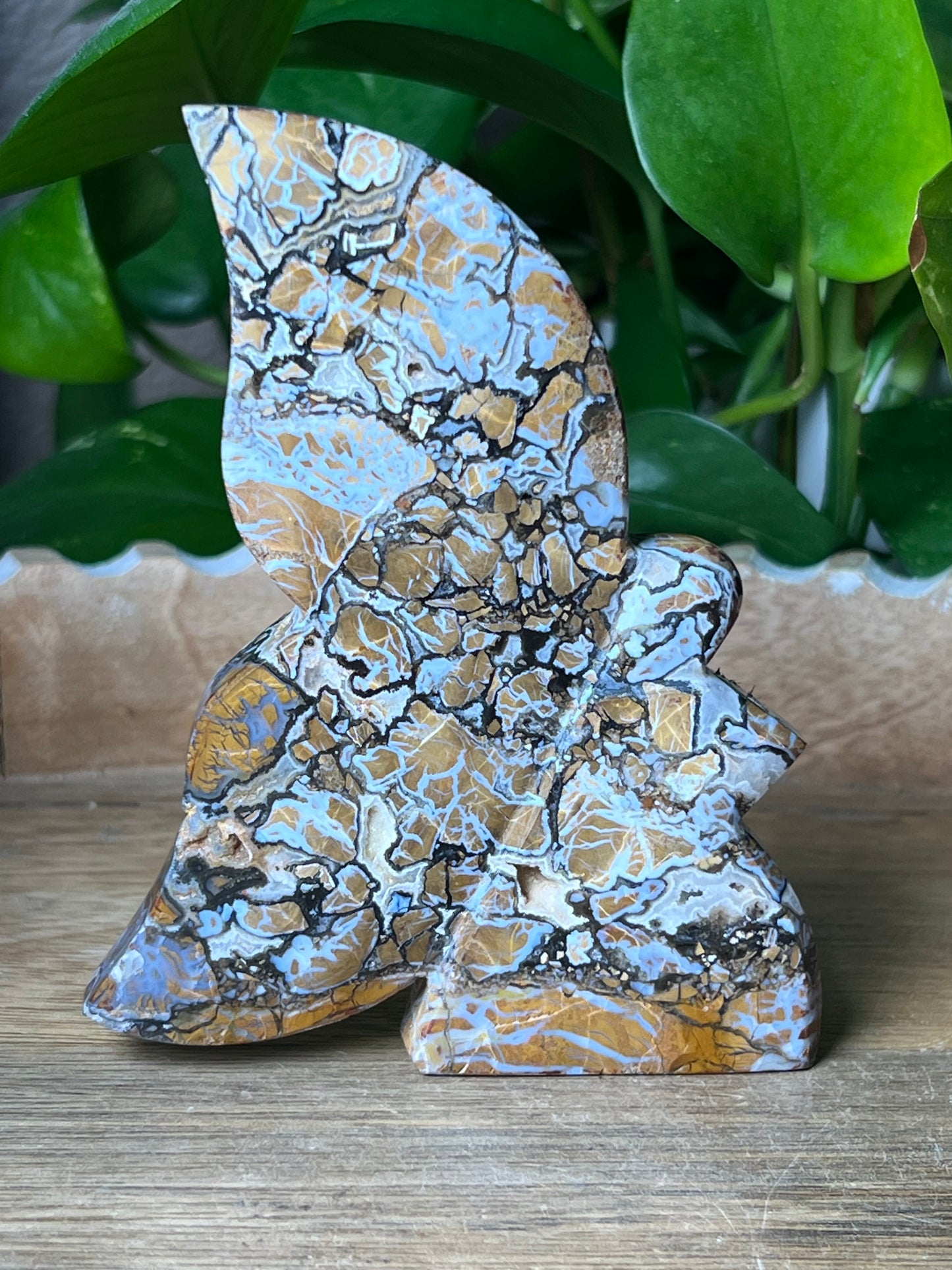 Brecciated Jasper Fairy