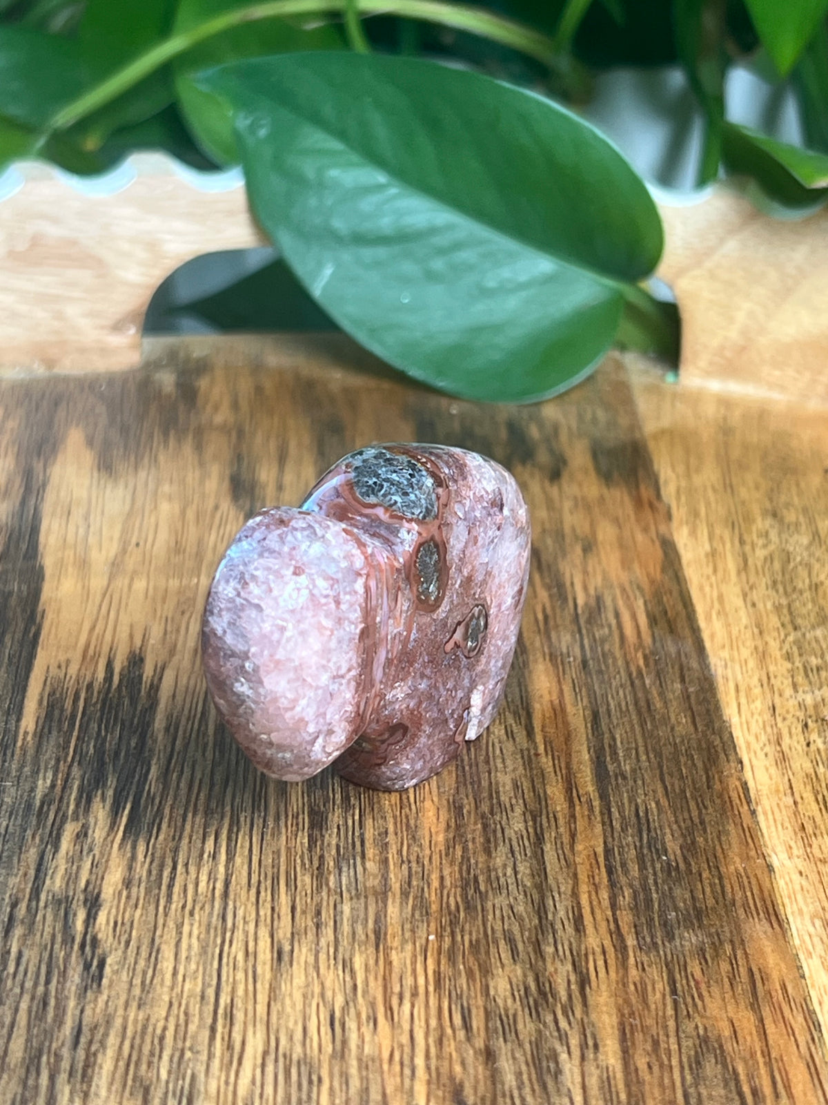 Marcasite Mini Buffalo: MK