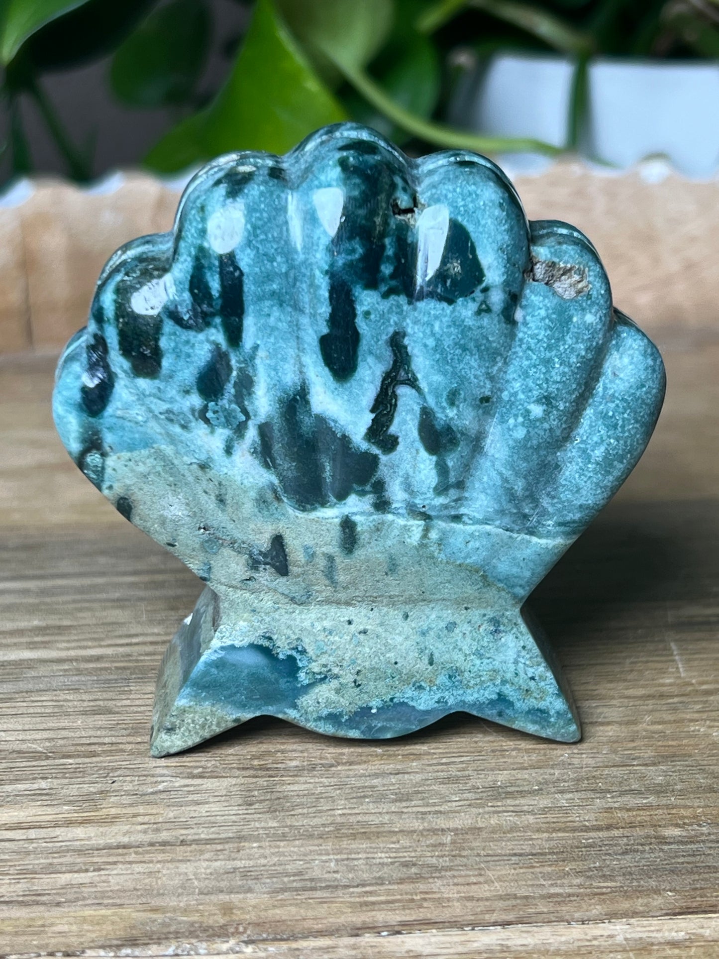 Blue Green Jasper Shell