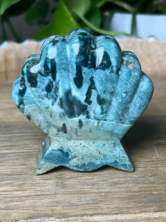 Blue Green Jasper Shell