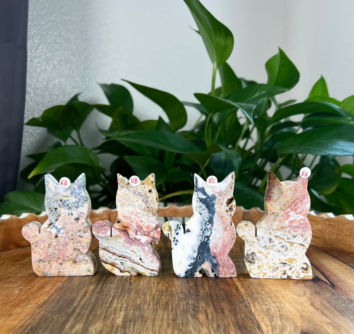 Sea Jasper Cats- Small