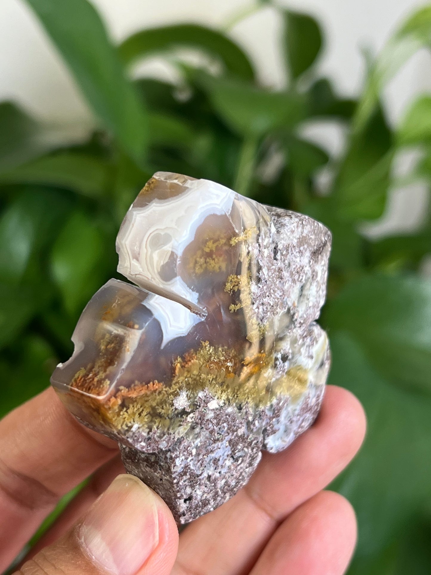 Scenic Moss Agate Flower