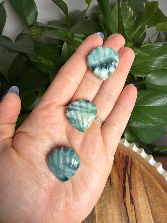 Blue Green Jasper Shells