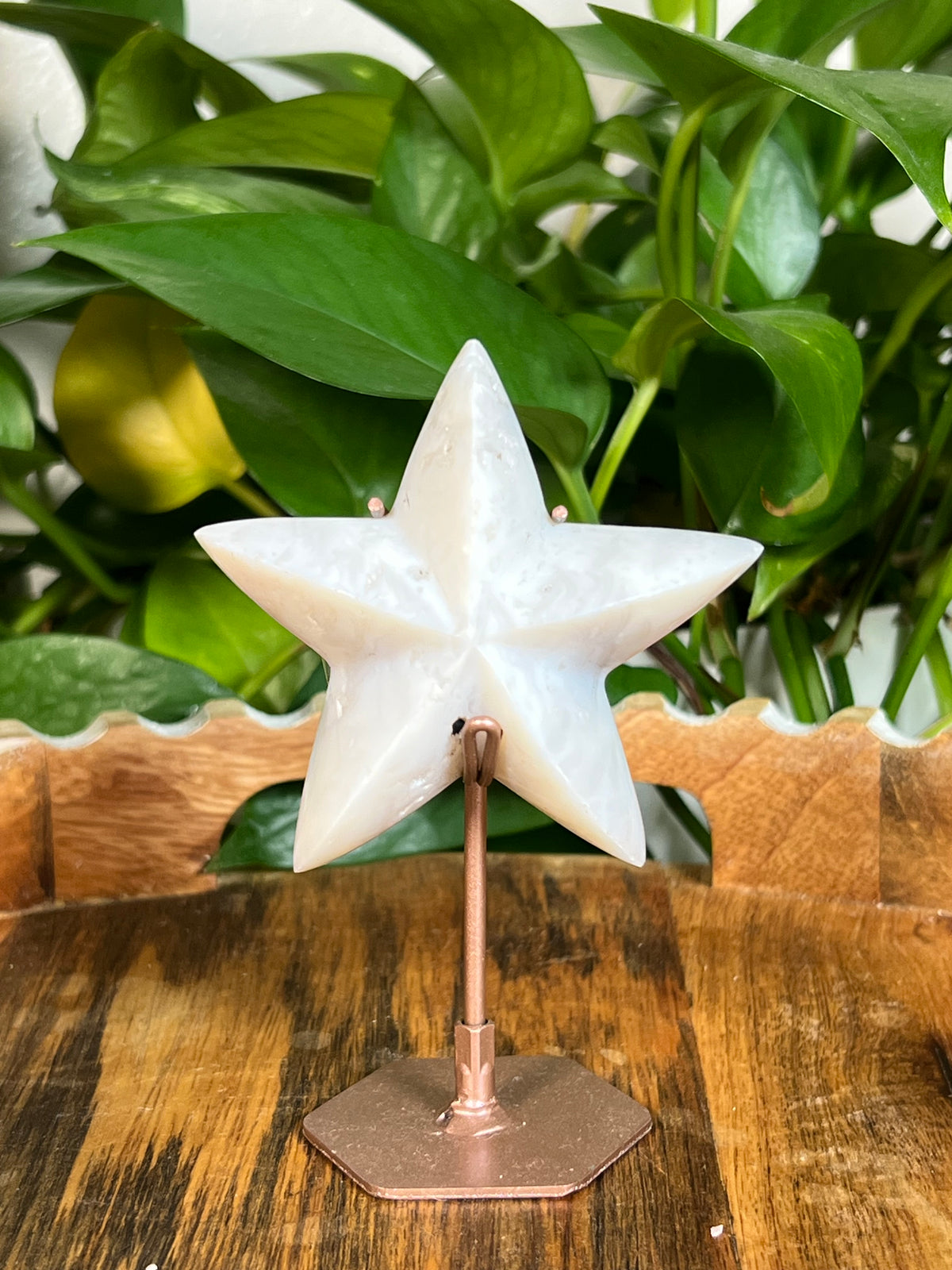 White Plume Agate Stars