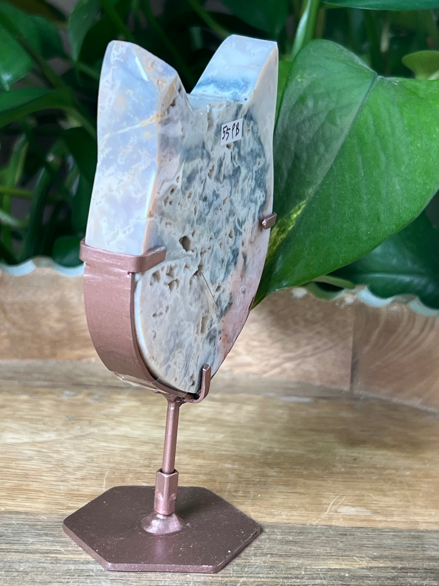 Rainbow Plume Agate Cat Head