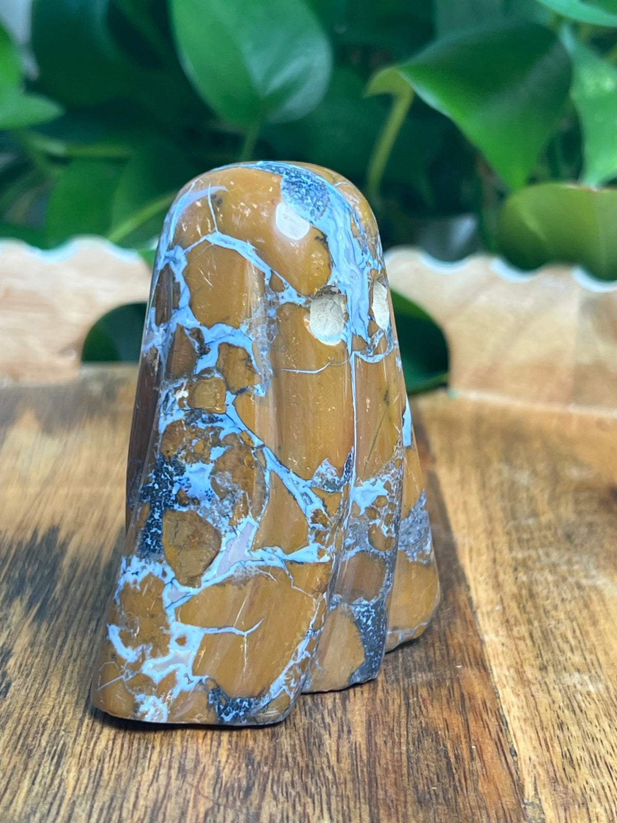 Brecciated Jasper Ghost: W