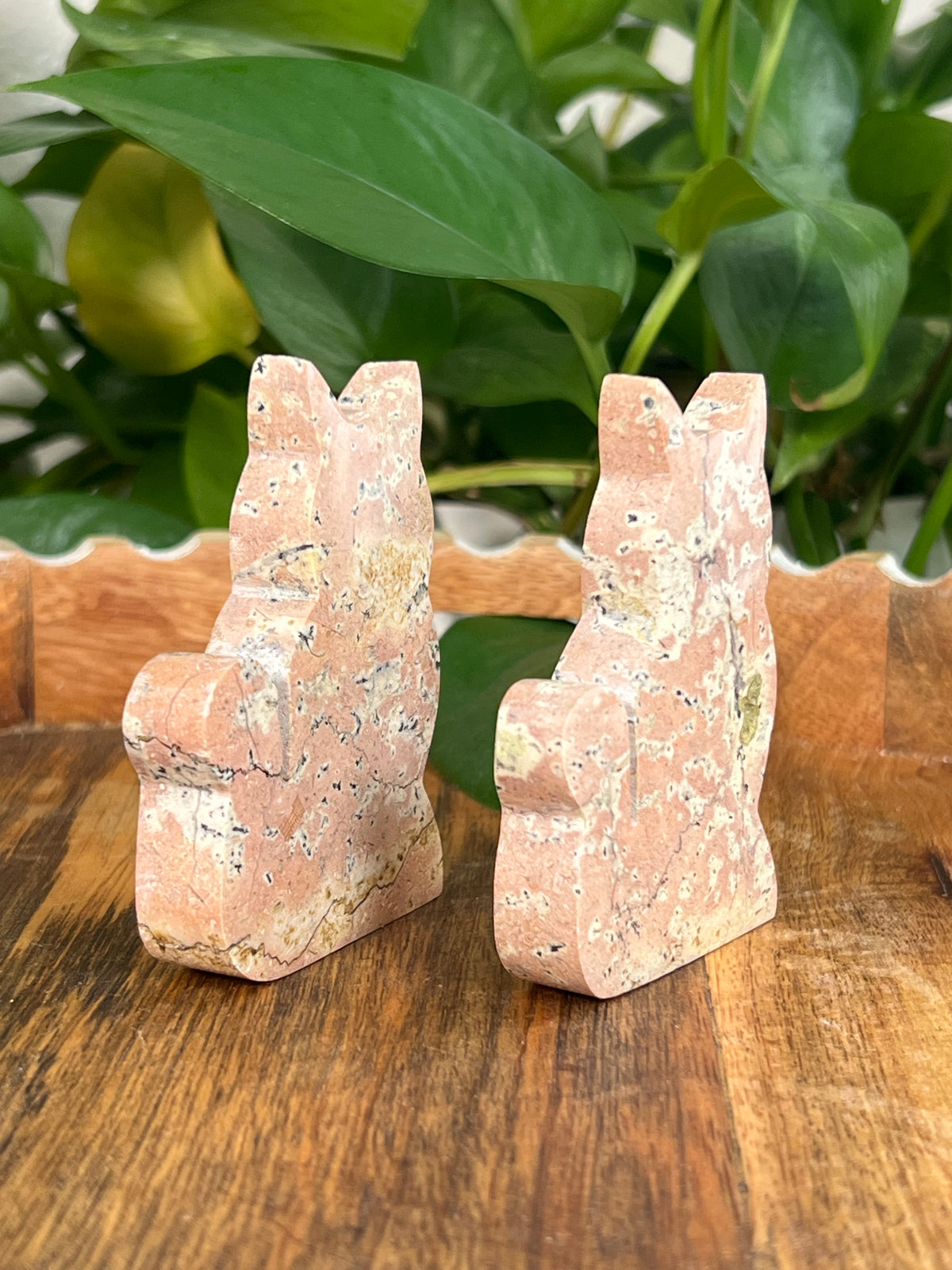 Peachy Pink Jasper Cats