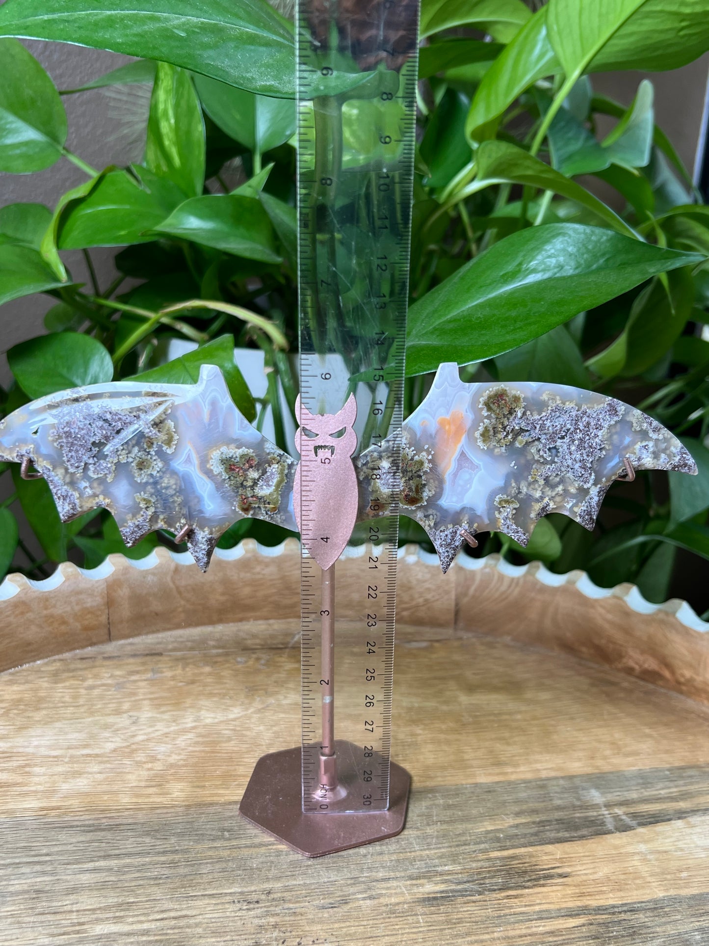 Scenic Moss Agate Bat Wings