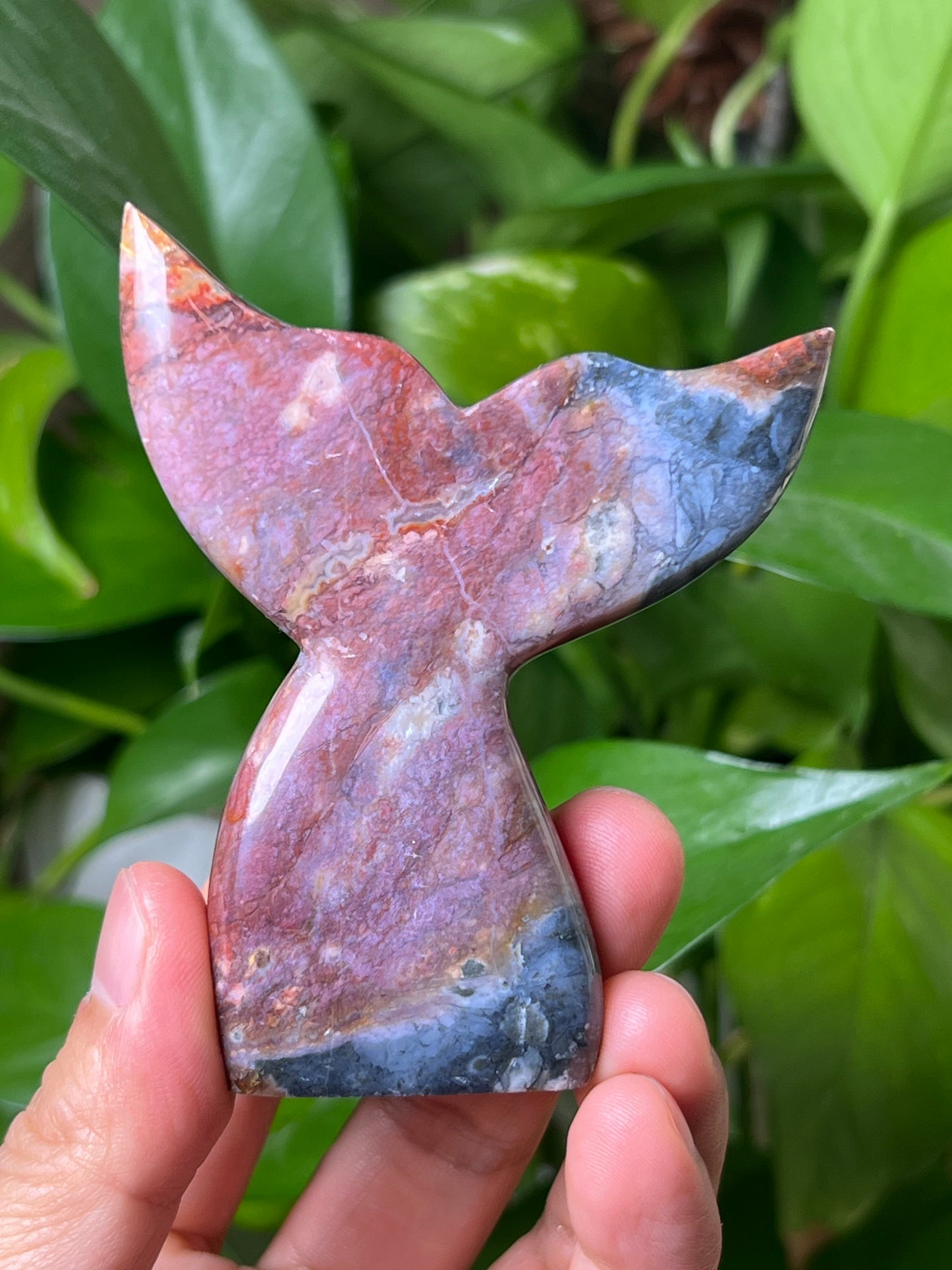 River Jasper Tail