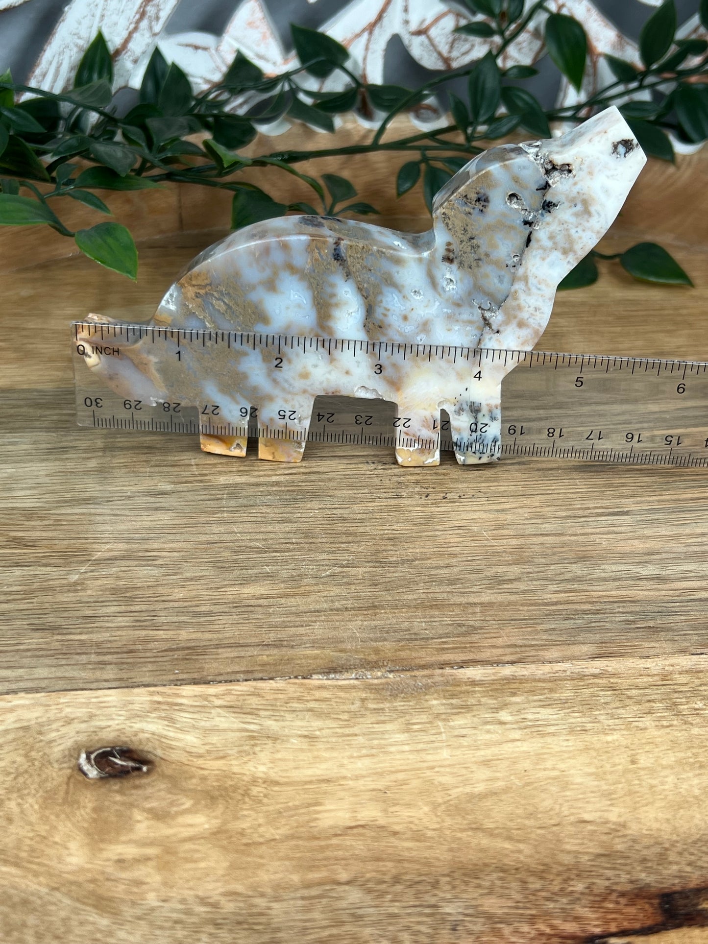 Dendritic Tiger Agate Dog