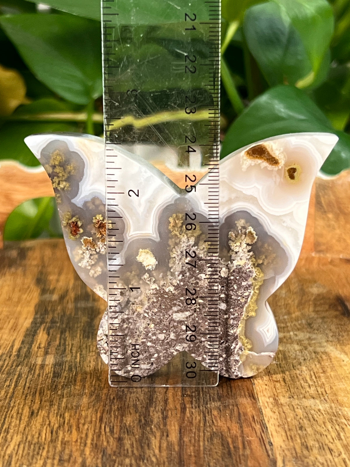 Scenic Moss Agate Butterflies
