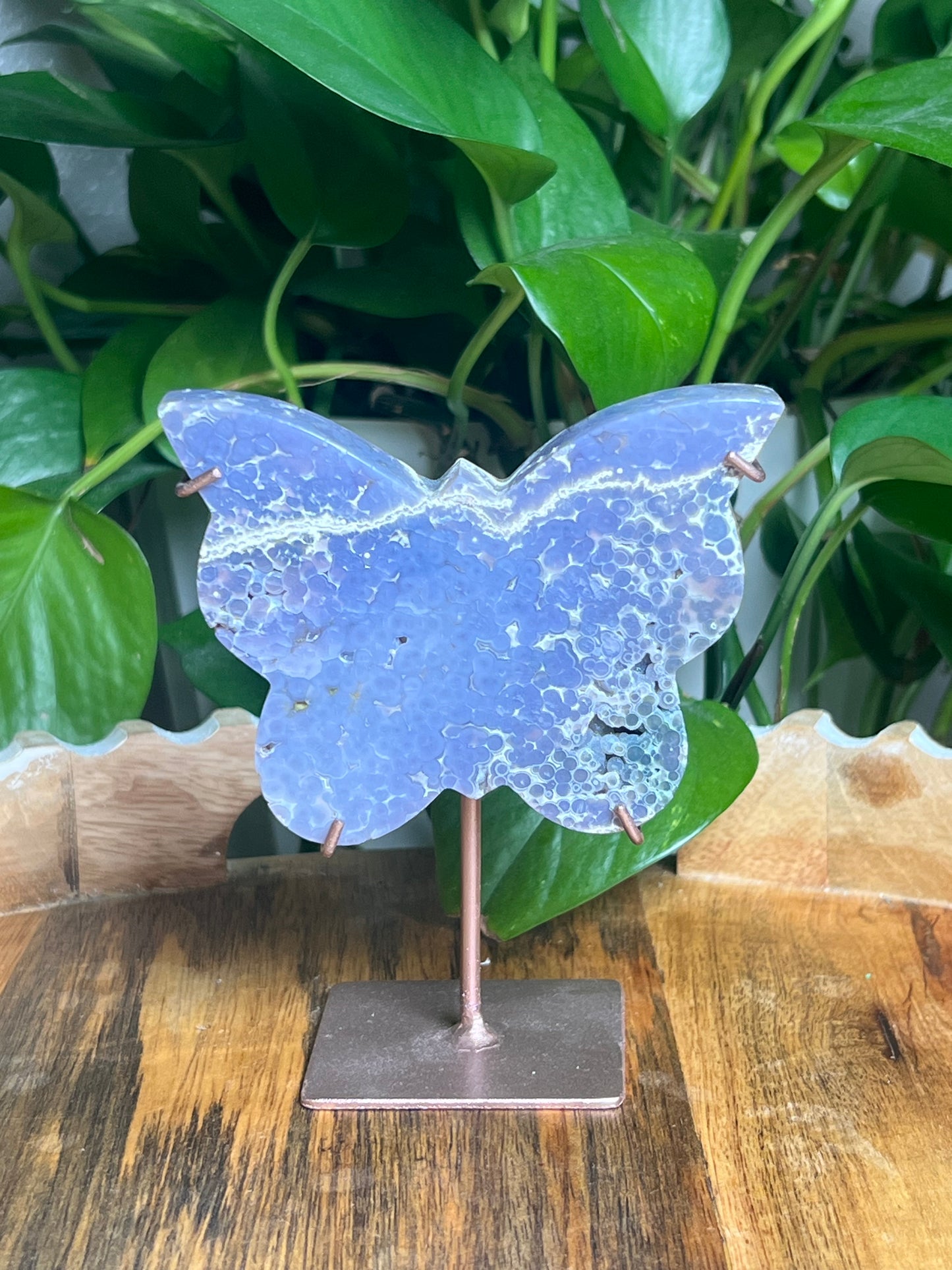 Grape Agate Butterfly: PX