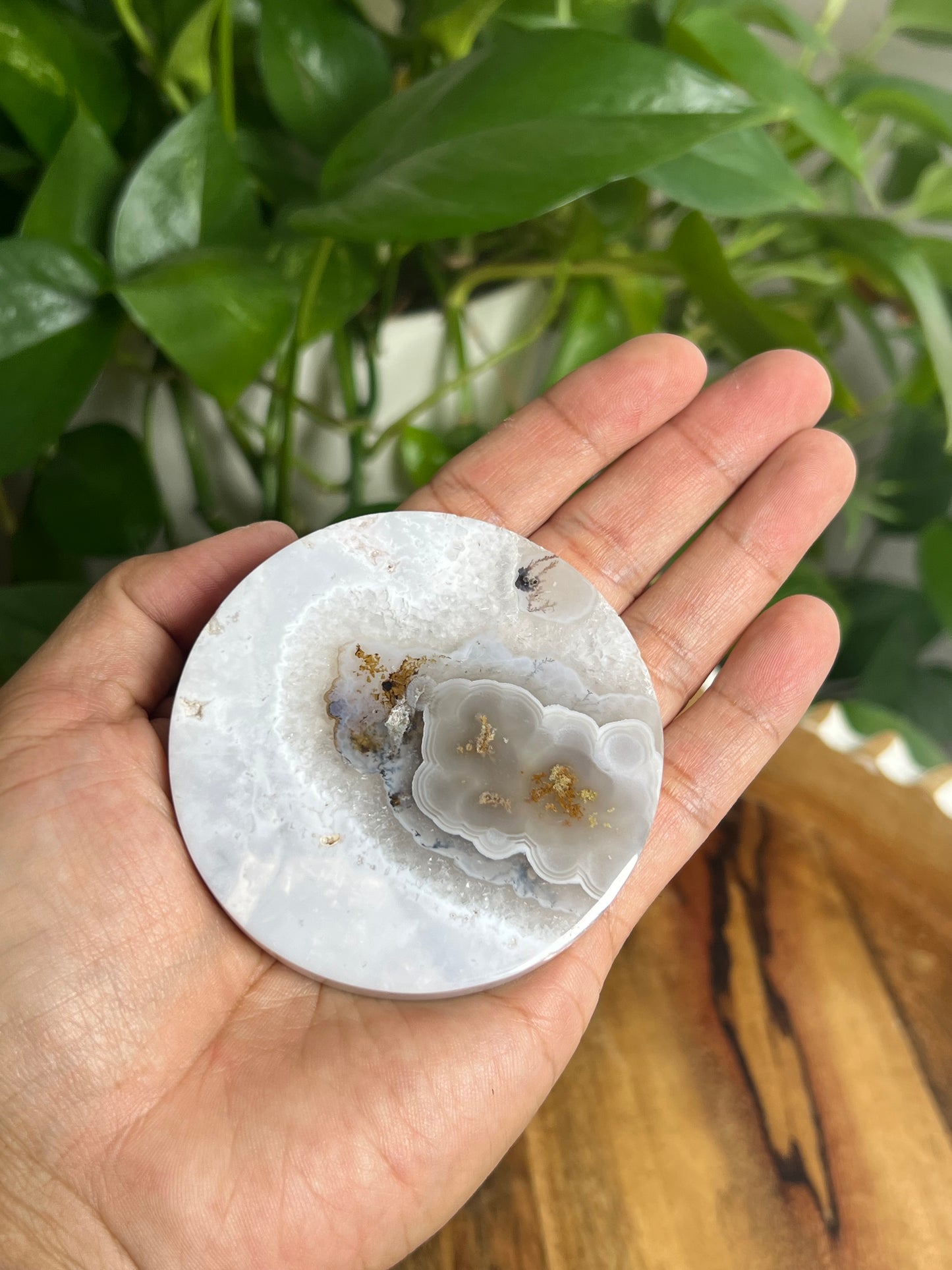 Scenic Moss Agate Coaster: K
