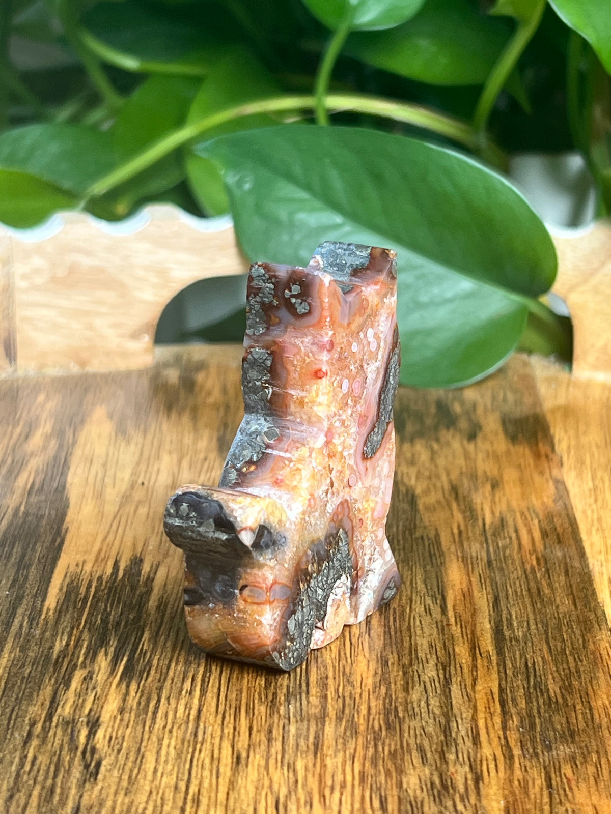Marcasite Cat: XQ