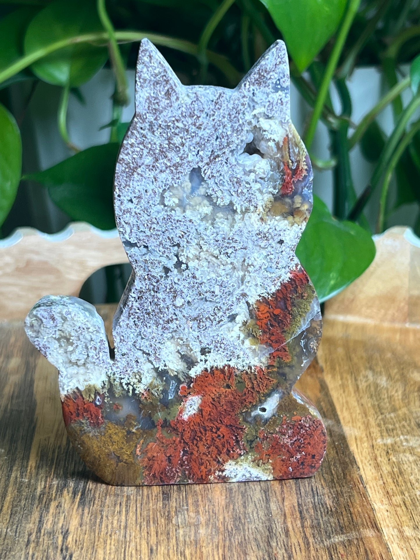 Scenic Moss Agate Cat: AP