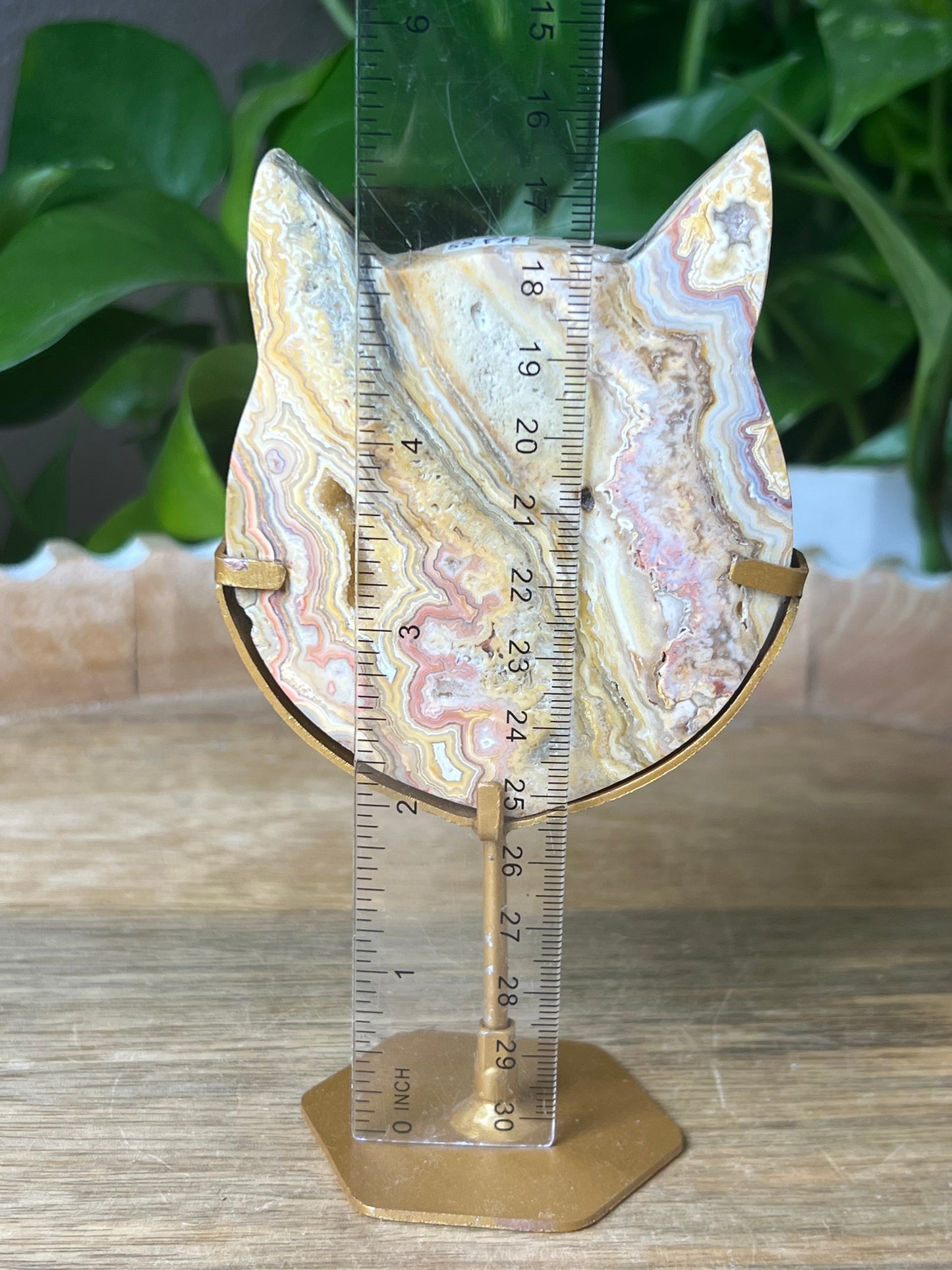 Crazy Lace Agate Cat