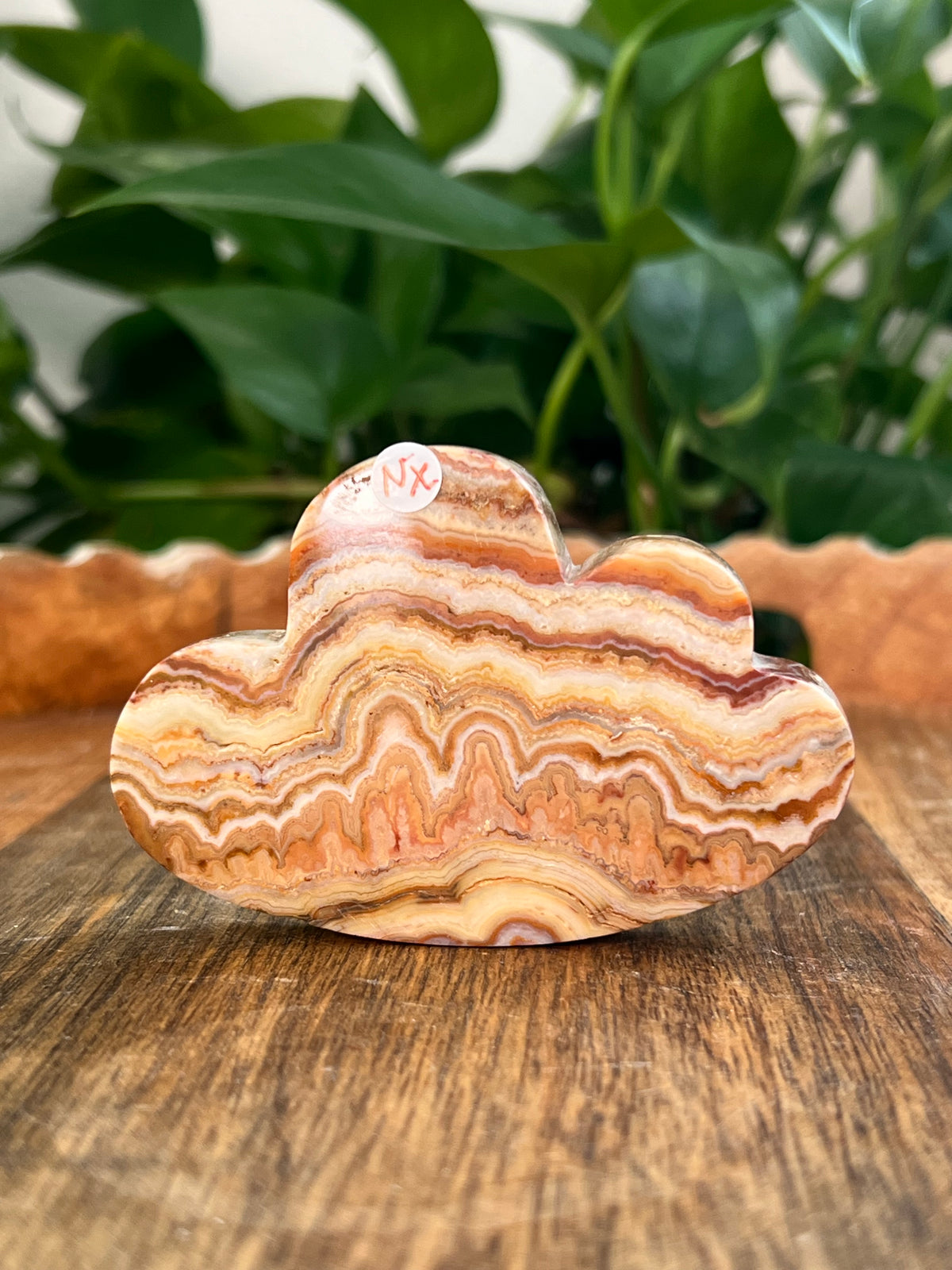 Crazy Lace Agate Self Standing Clouds