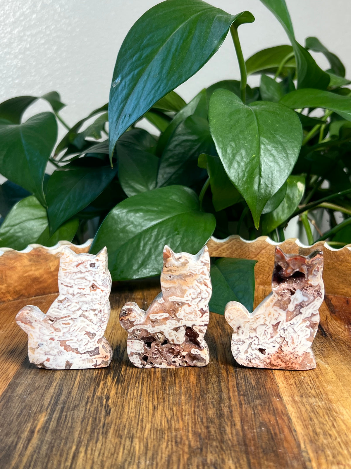 Tube Agate Mini Cats