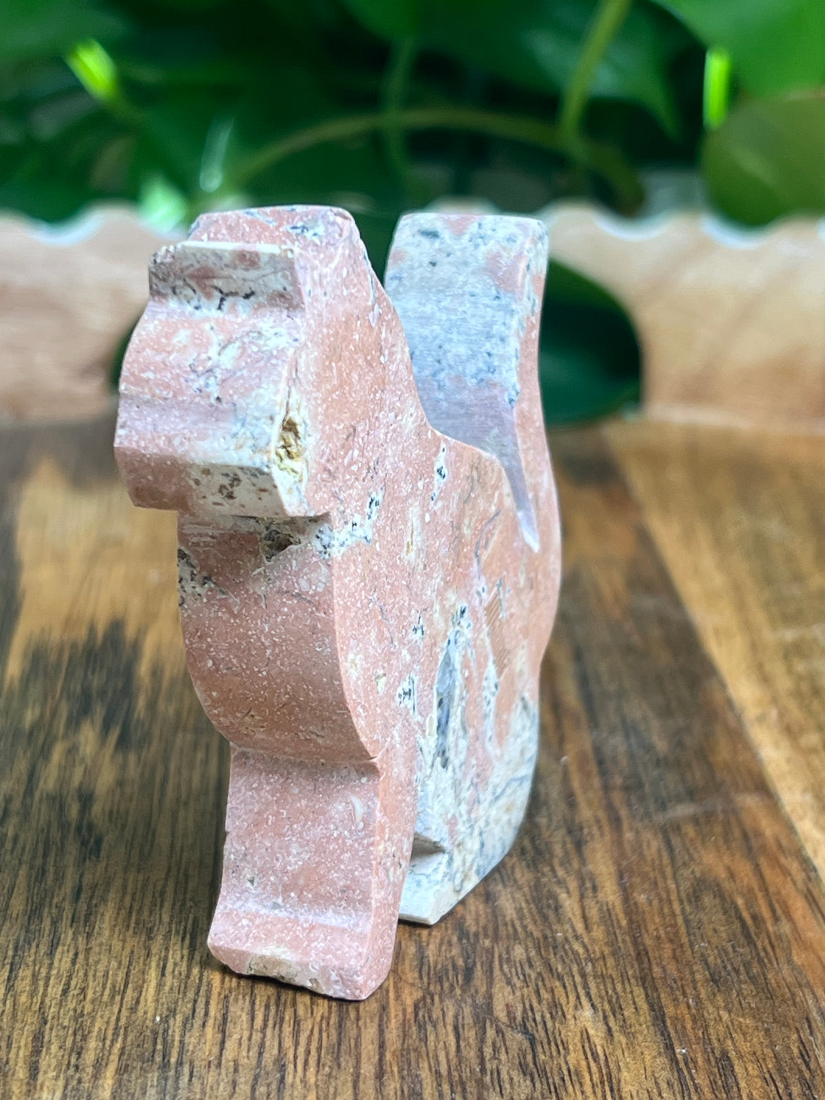 Dendritic Jasper Cat: KA