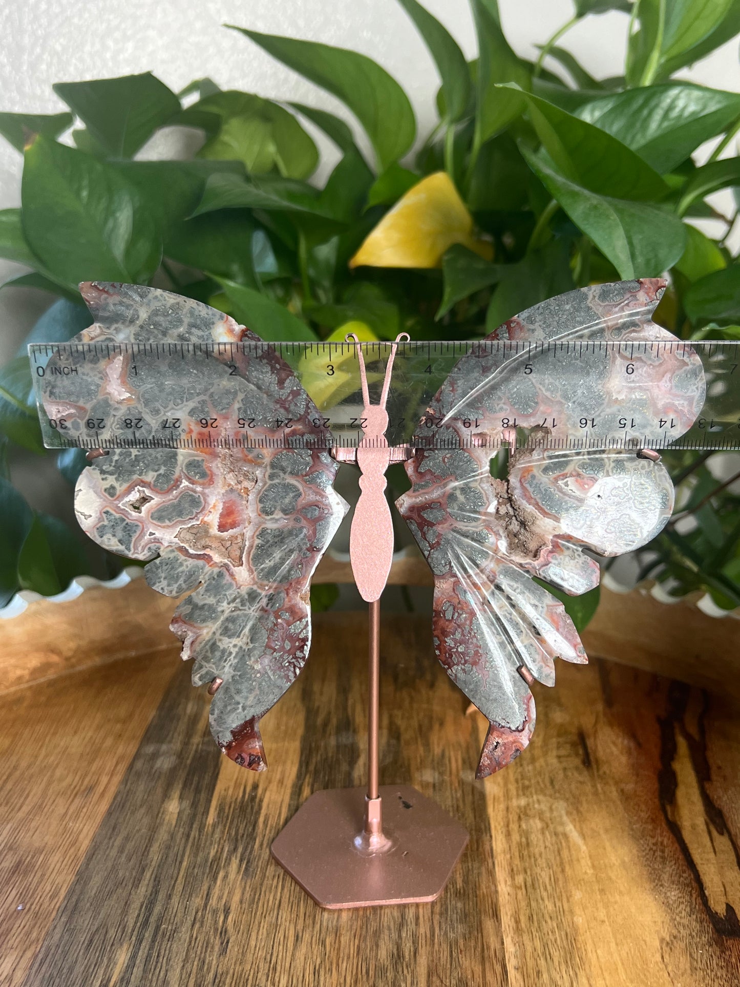 Marcasite Wings PB