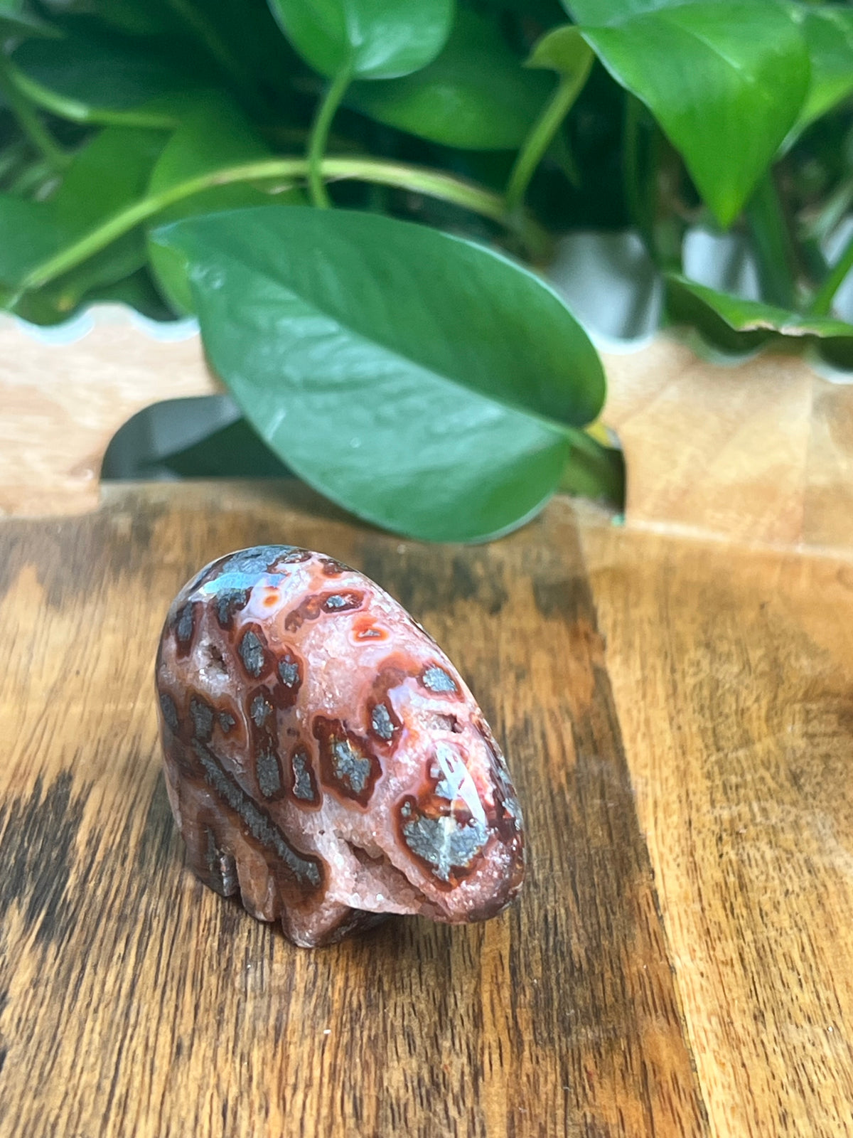 Marcasite Bear: RL