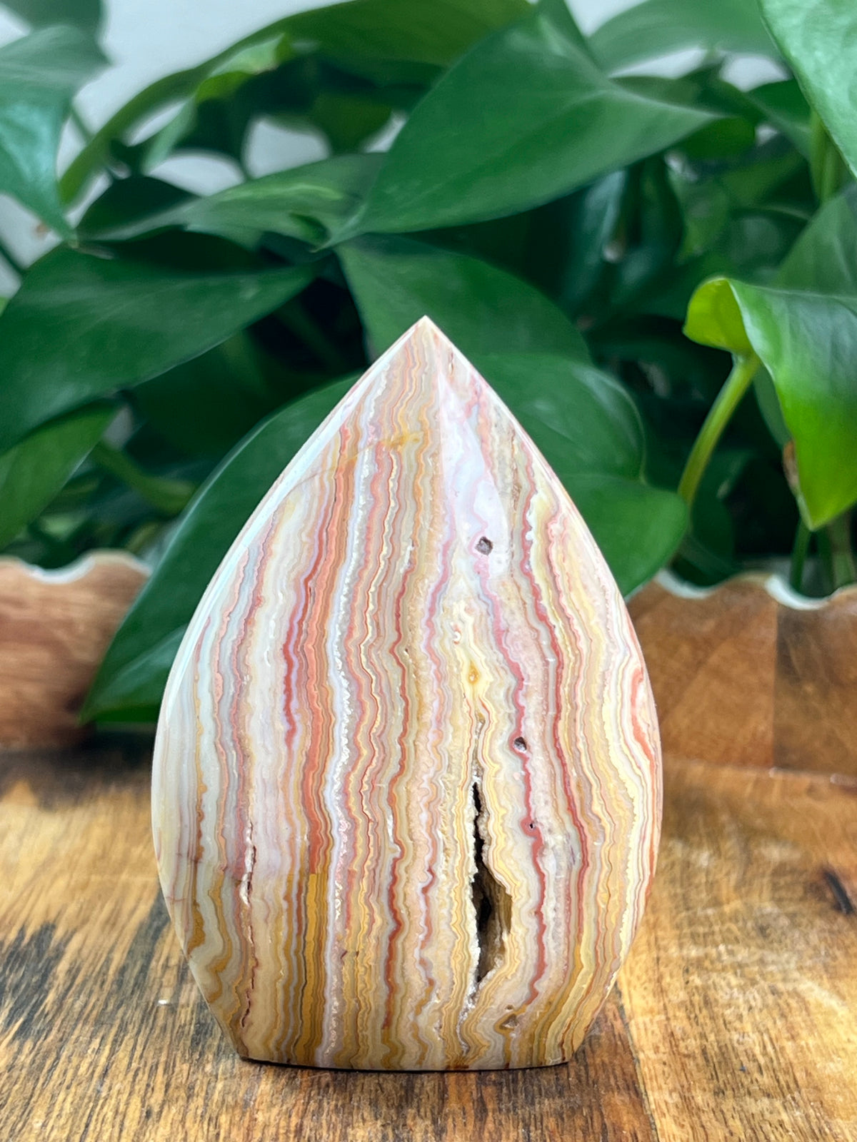 Crazy Lace Agate Flame: BA