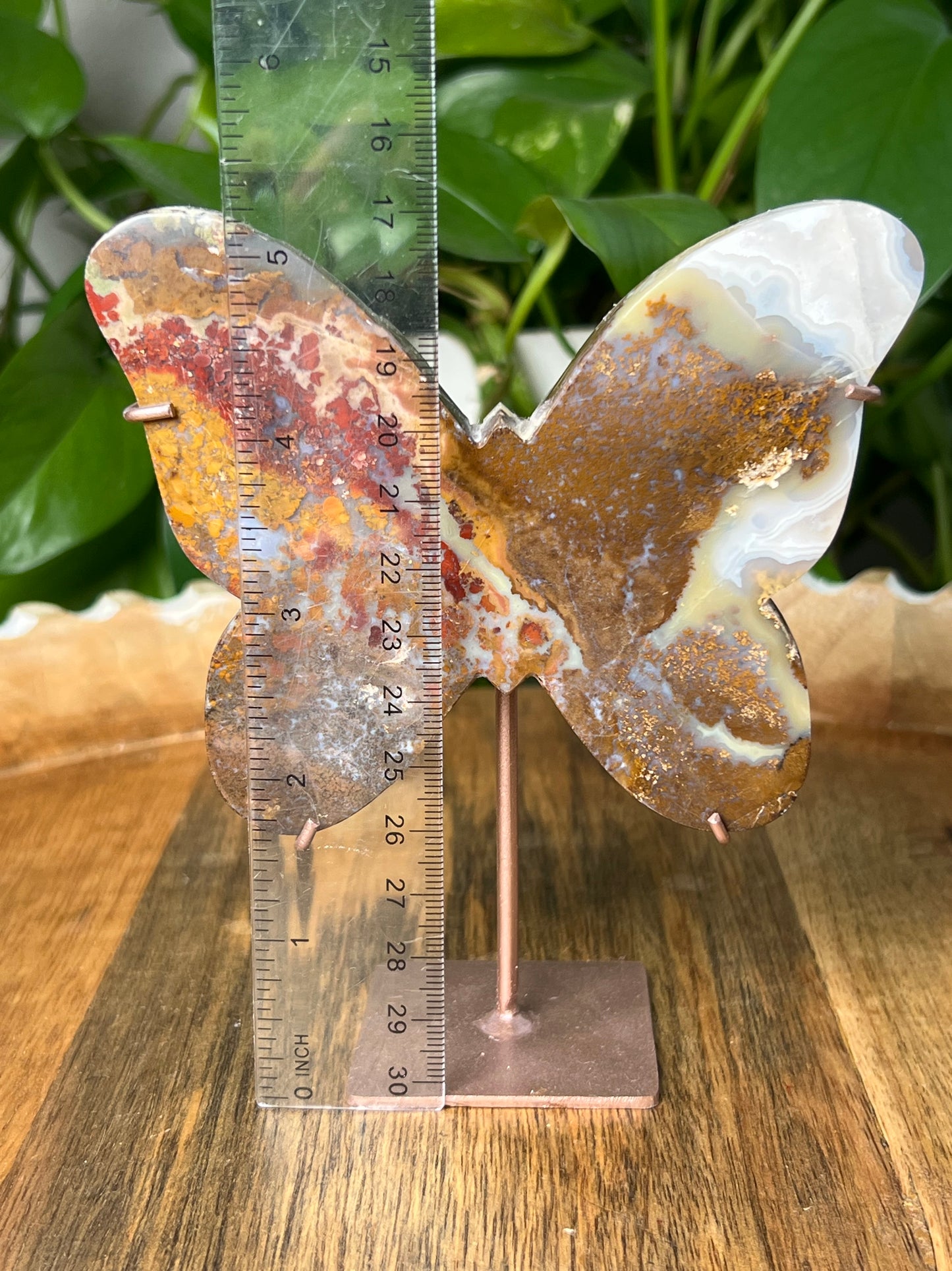 Scenic Moss Agate Butterfly