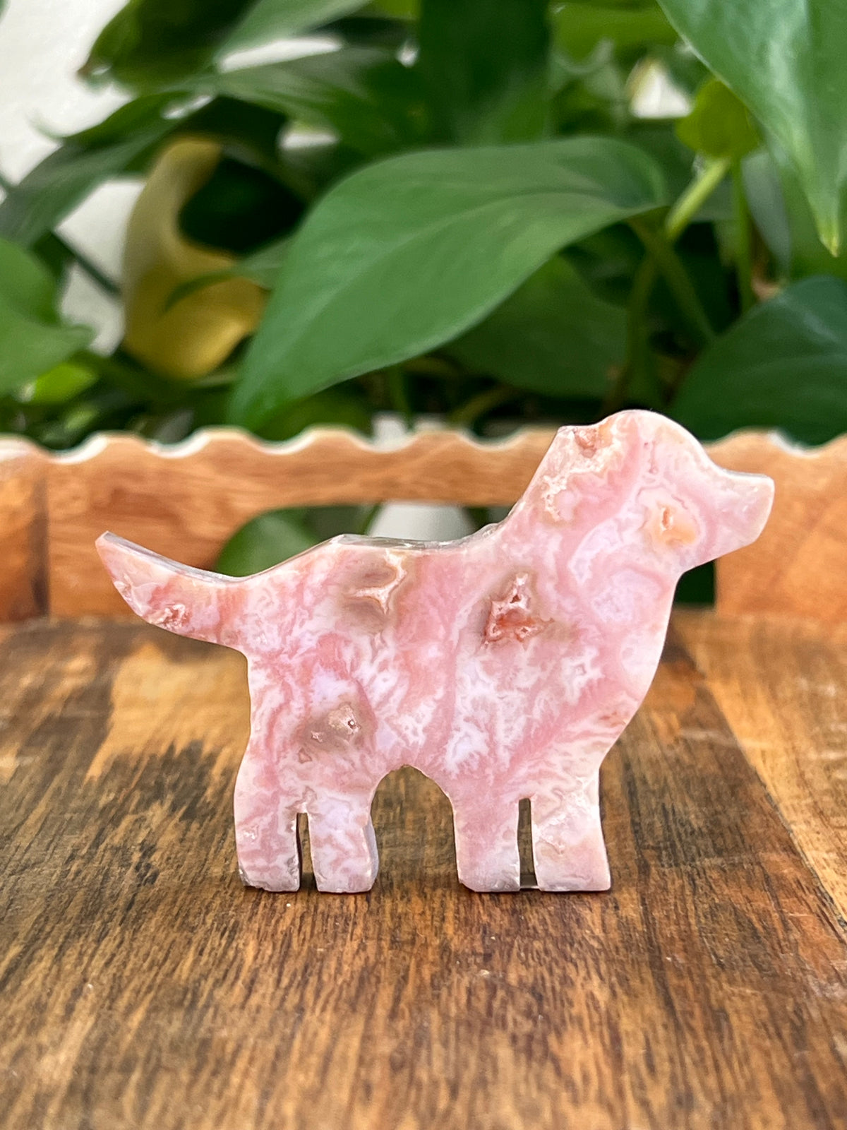 Pink Carnelian Dogs