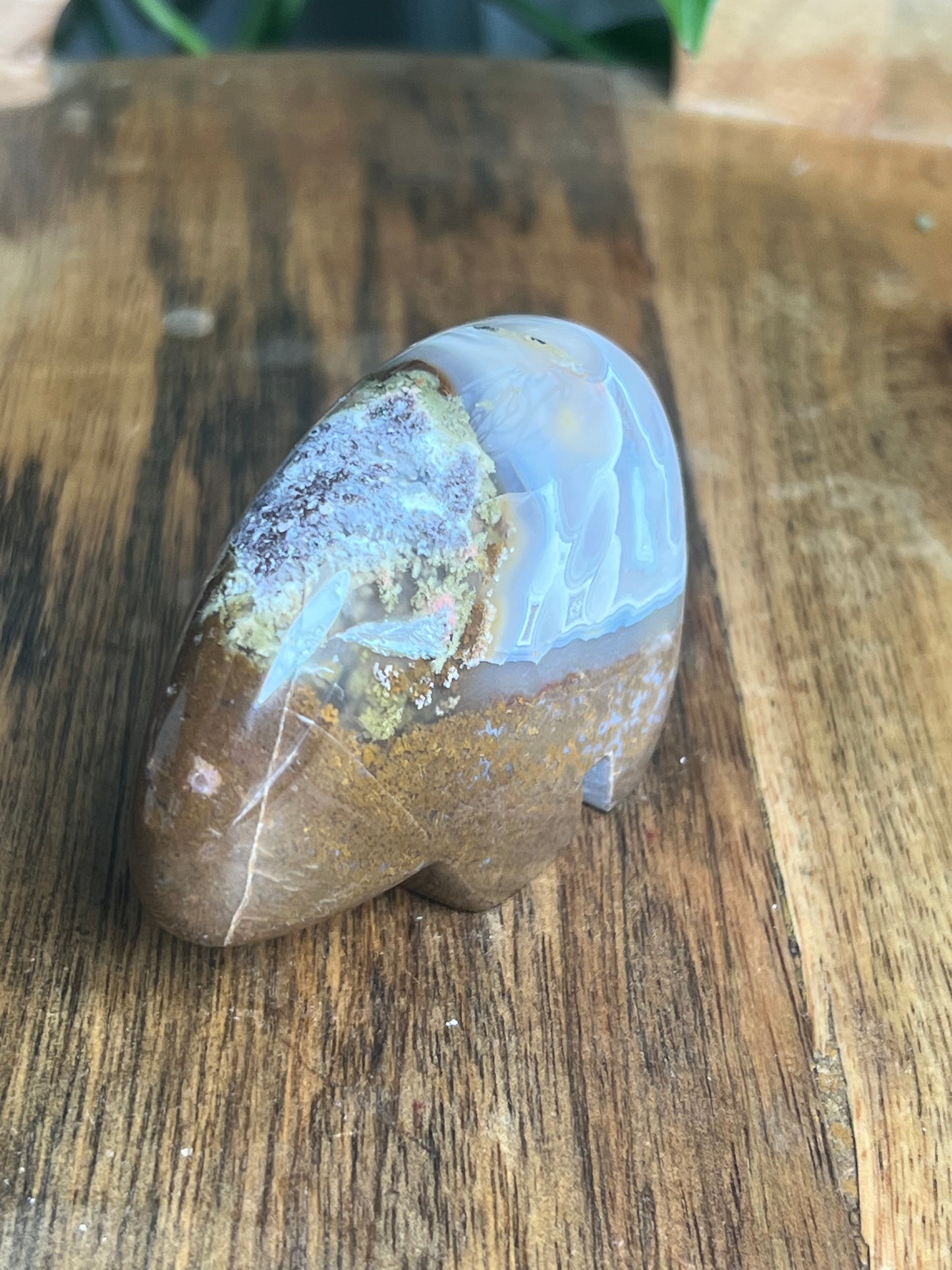 Scenic Moss Agate Bear Bi