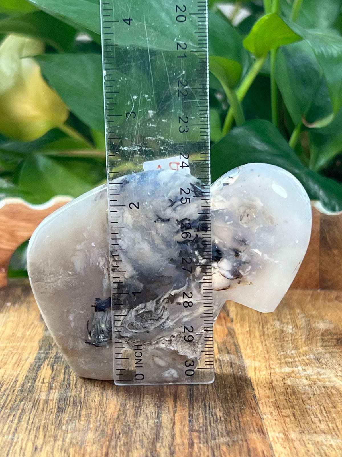 Dendritic Tiger Agate Buffalos