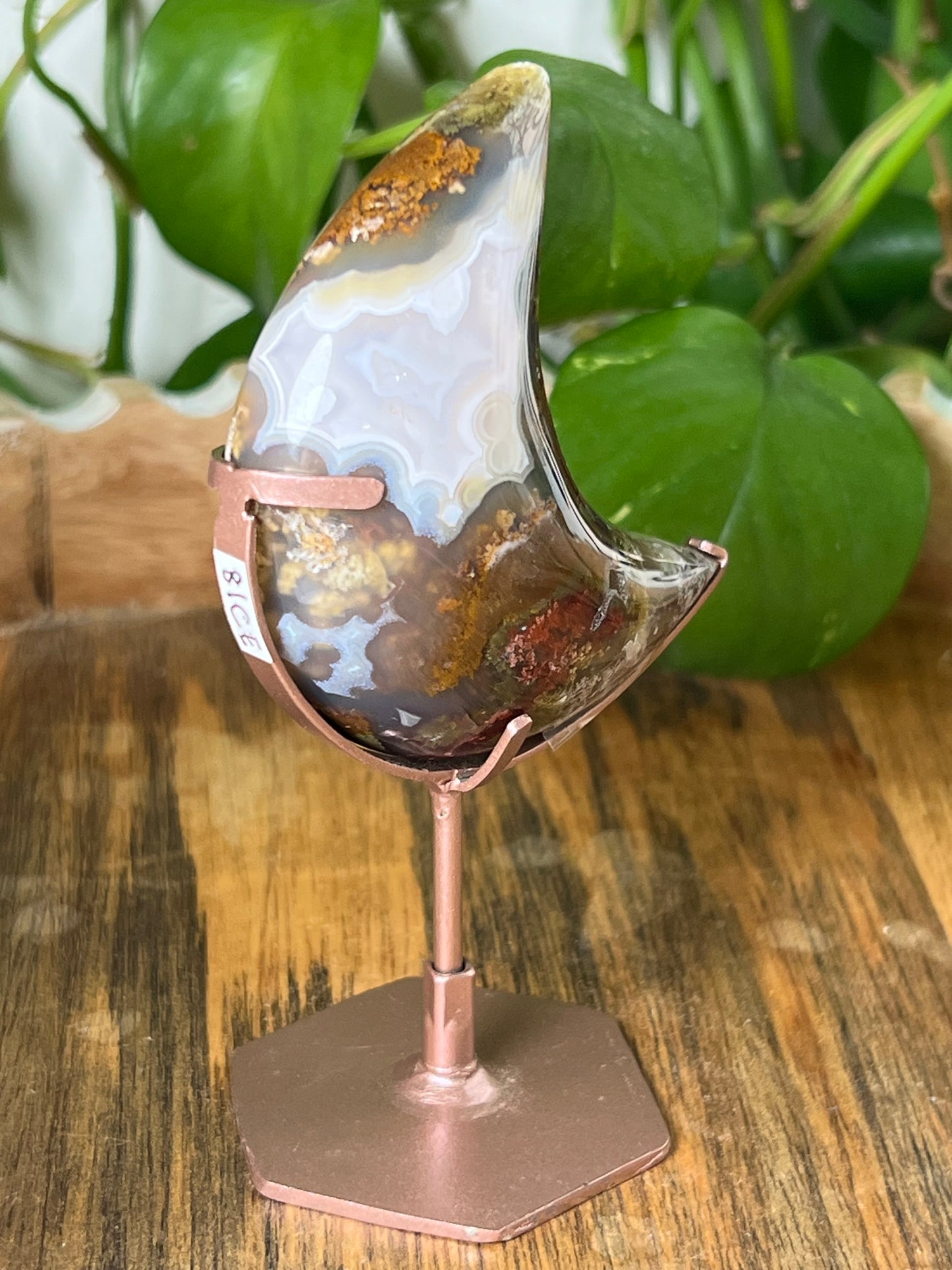 Scenic Moss Agate Moon
