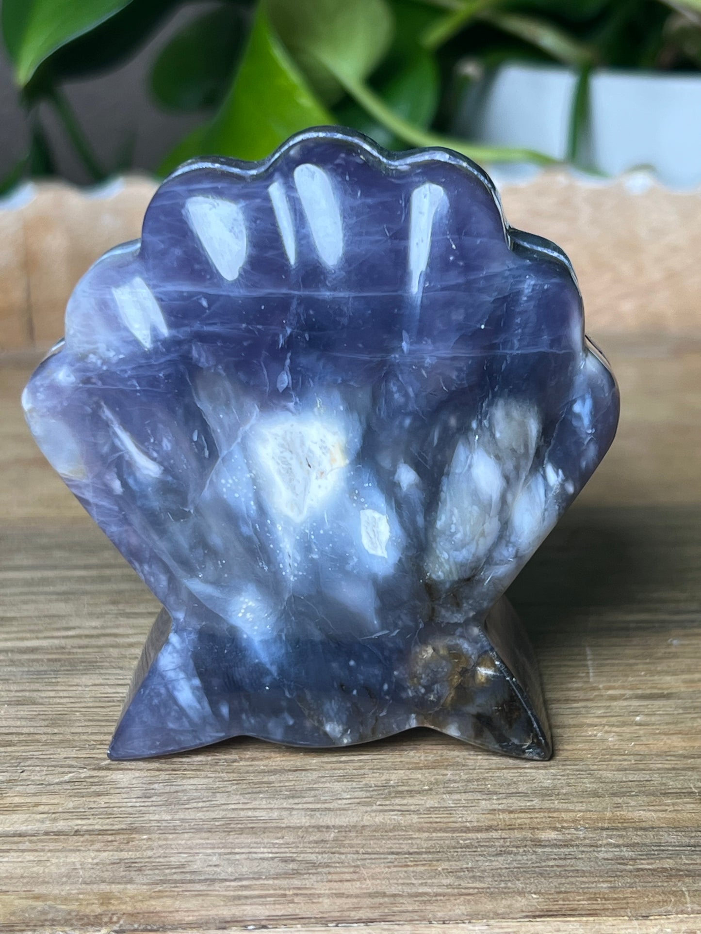 Purple Chalcedony Shell