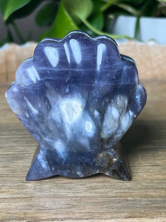 Purple Chalcedony Shell