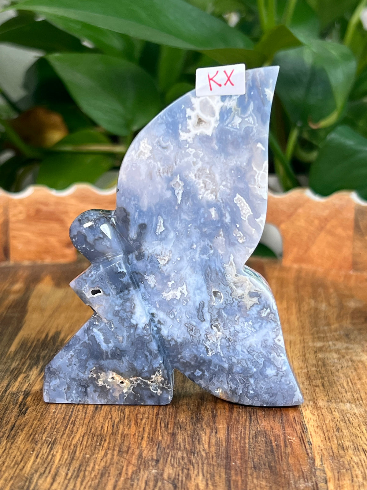 Blue Plume Agate Fairies