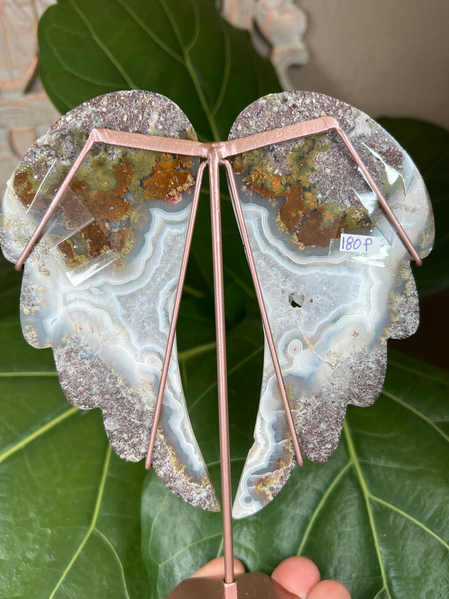 Scenic Moss Agate Wings