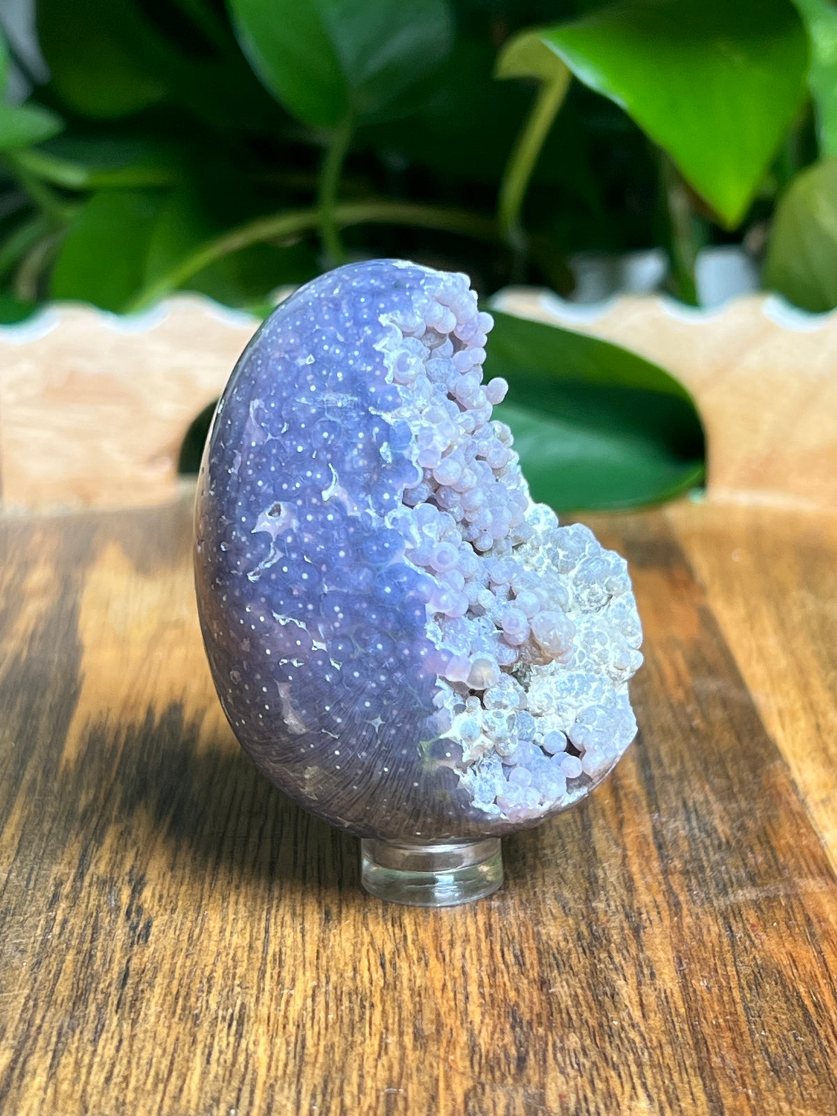 Grape Agate Egg: NC